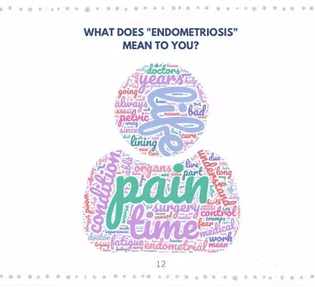A word cloud of "what does 'endometriosis' mean to you?" The biggest words are pain, life, and time.